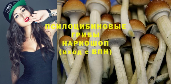 ешки Абдулино